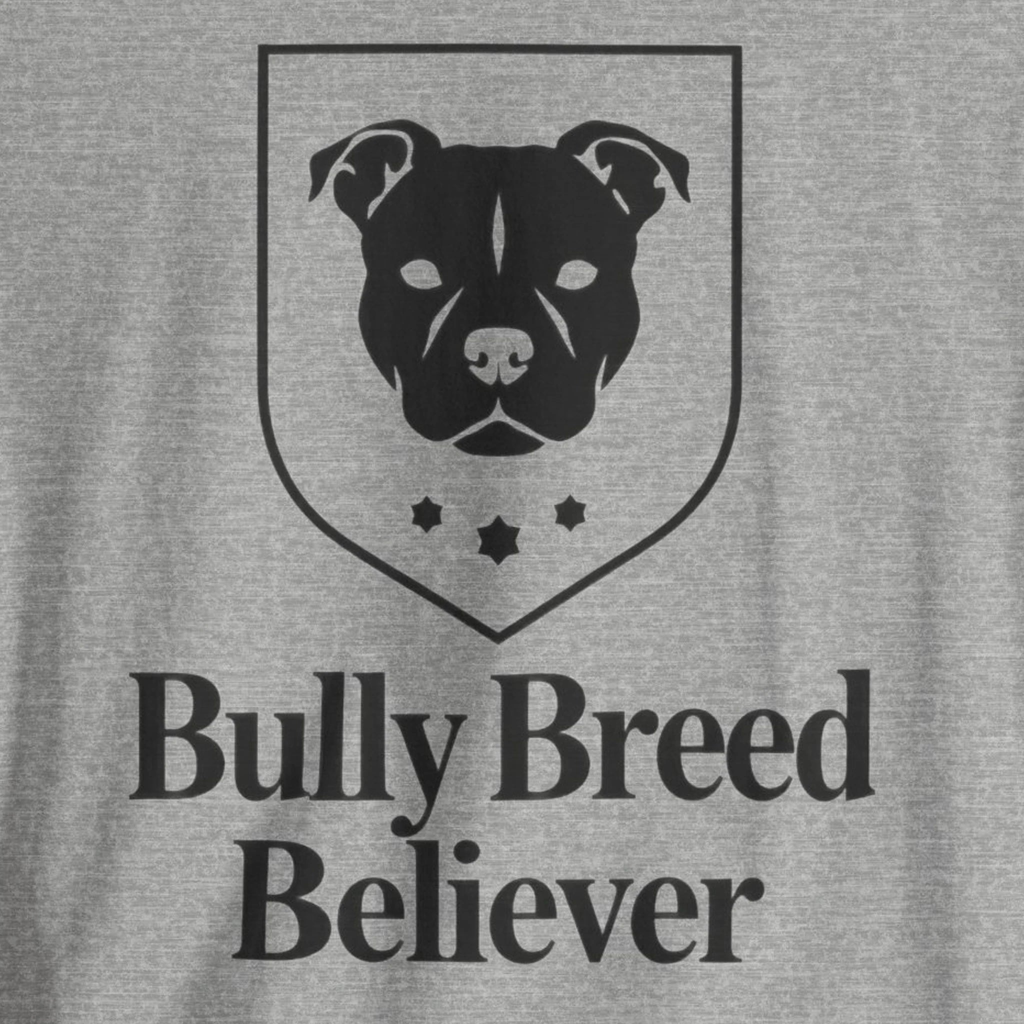 Gray t-shirt with black graphic of a dog's head and 'Bully Breed Believer' text.