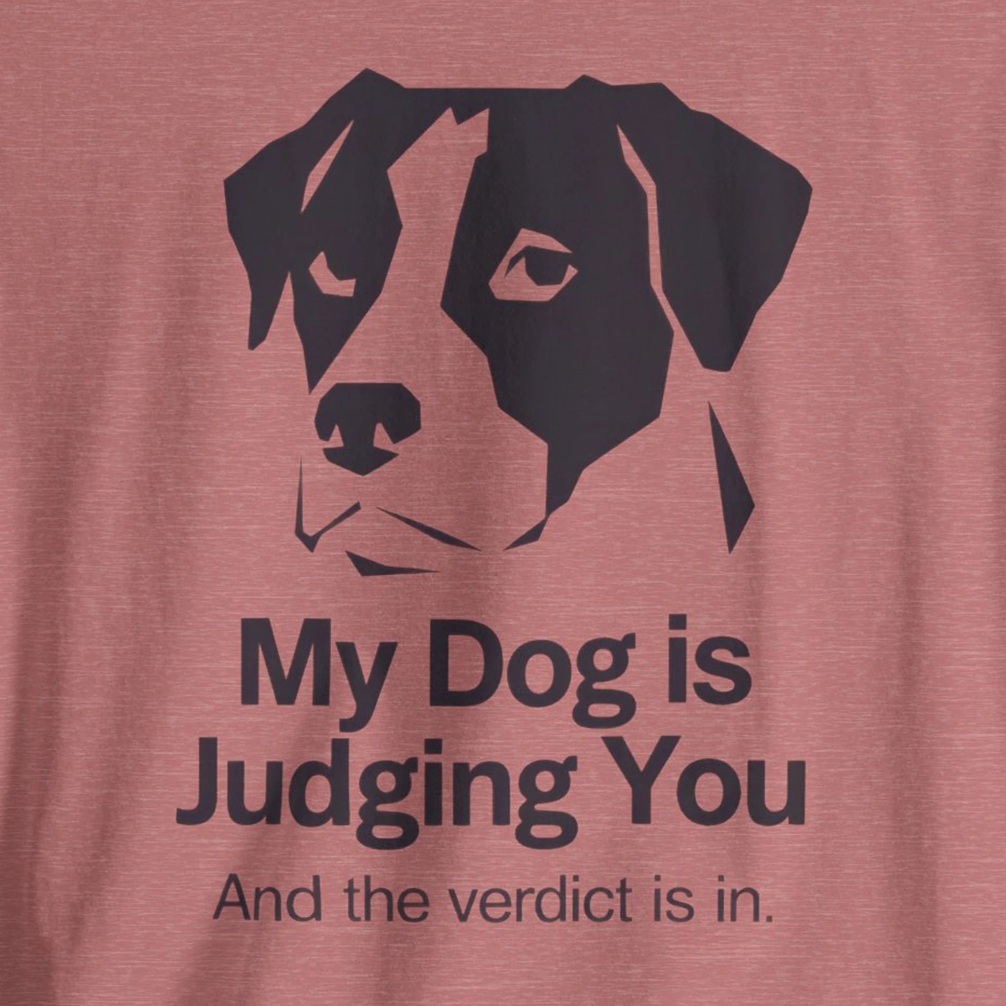T-shirt with a dog graphic and 'My Dog is Judging You' text on a red background