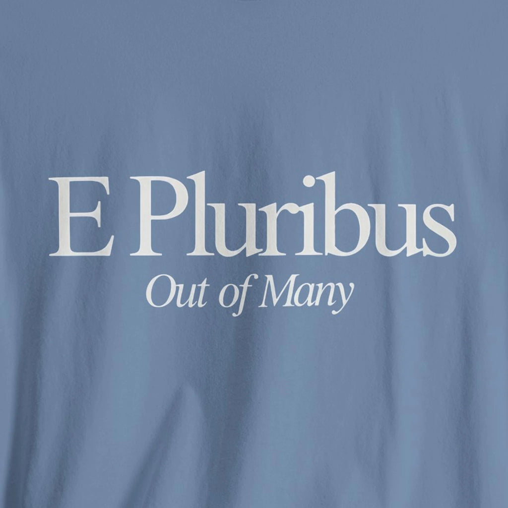 Text 'E Pluribus Out of Many' 